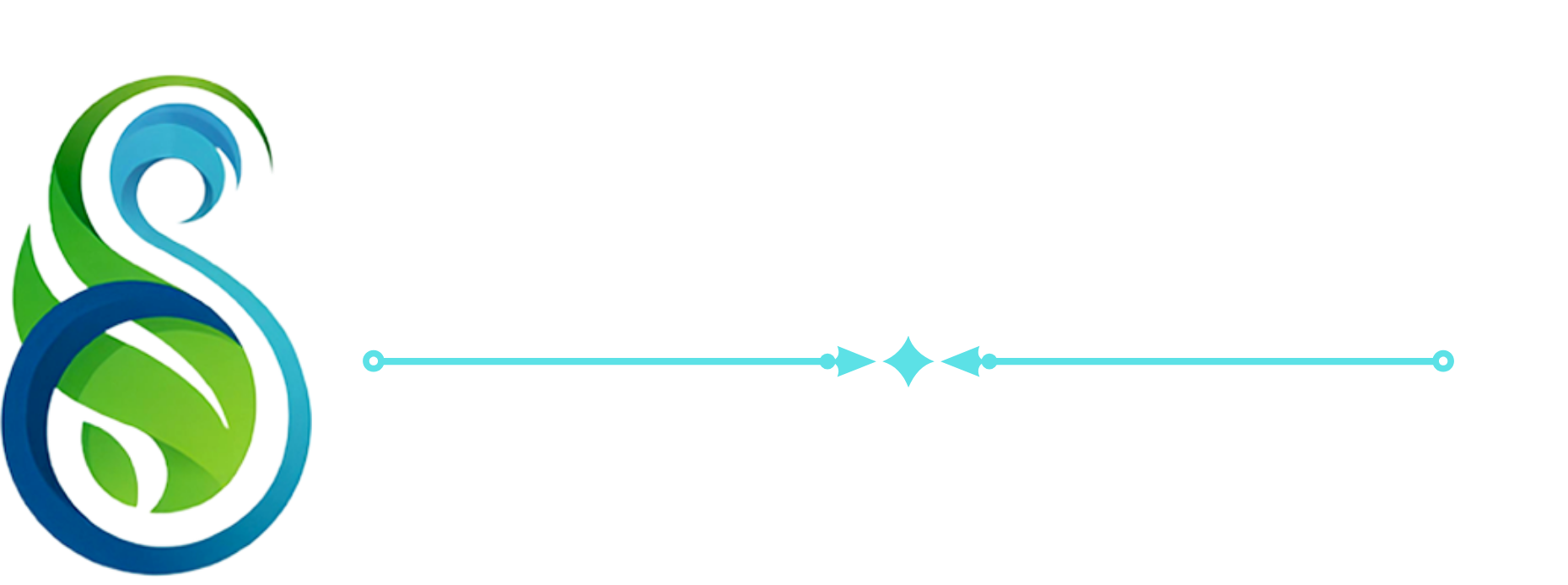 SS Edubridge Logo
